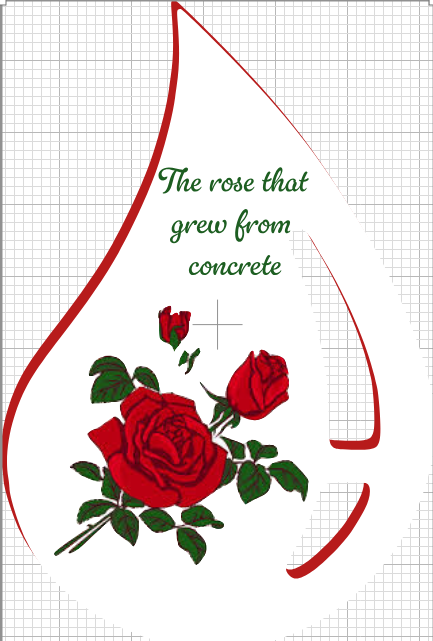 Concrete Rose